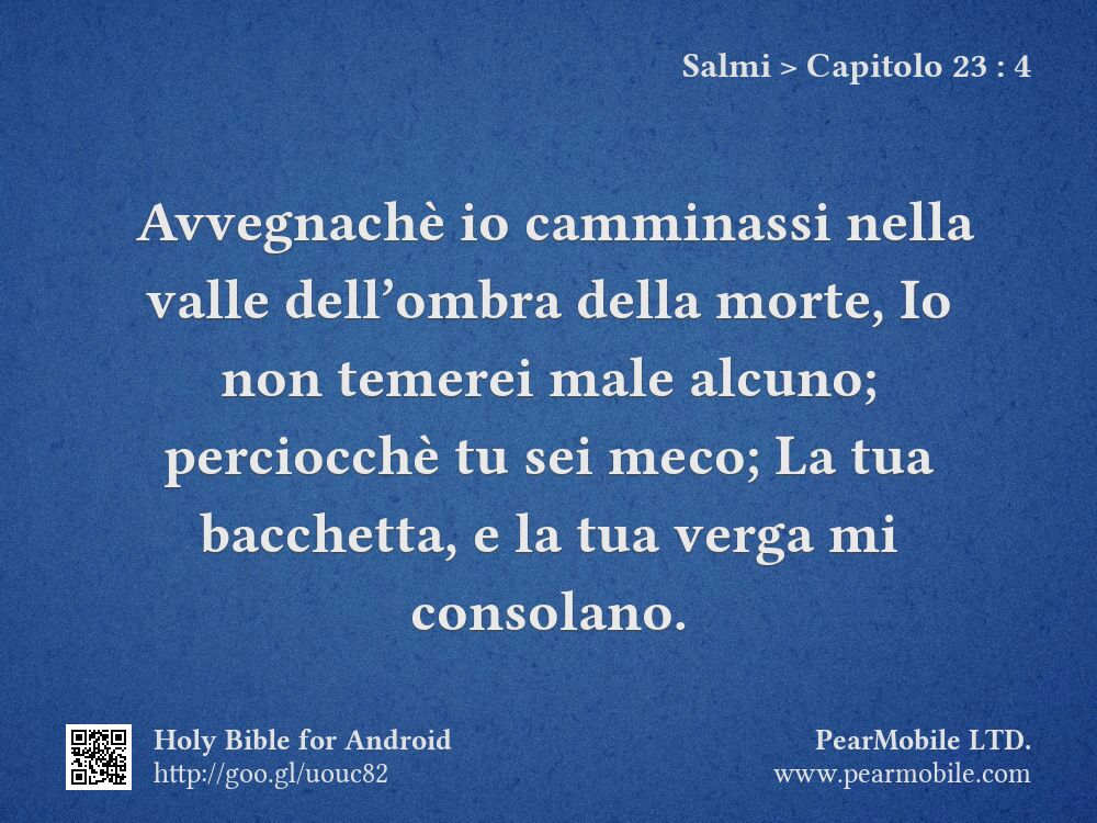 Salmi, Capitolo 23:4